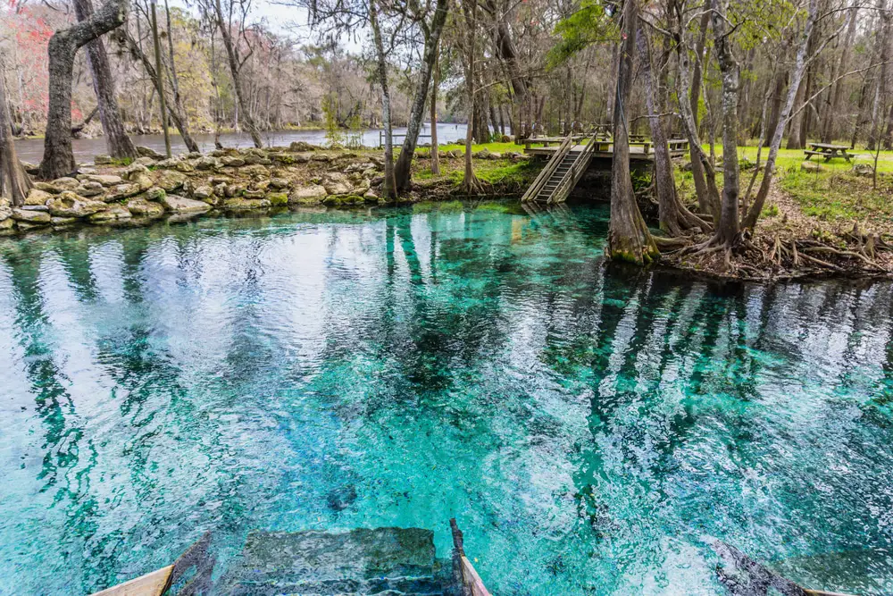 15 Mejores Viajes de un Día desde Jacksonville, FL