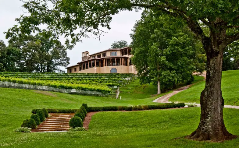 Las 9 mejores bodegas de Georgia que vale la pena visitar