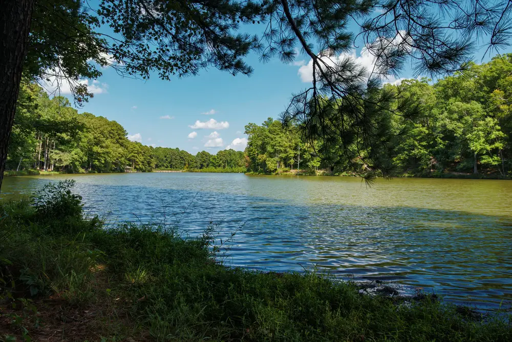 Los 15 Mejores lagos de Raleigh