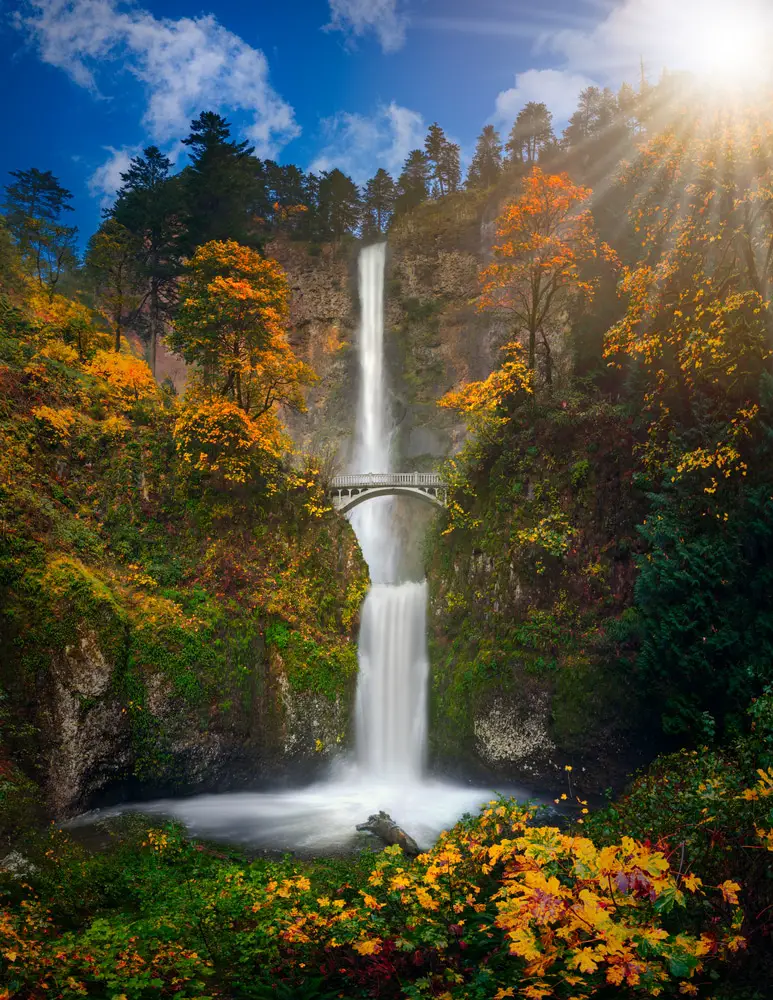 latitud Sí misma Rodeado 15 asombrosas cascadas en Oregon | EL BLOG DEL VIAJERO