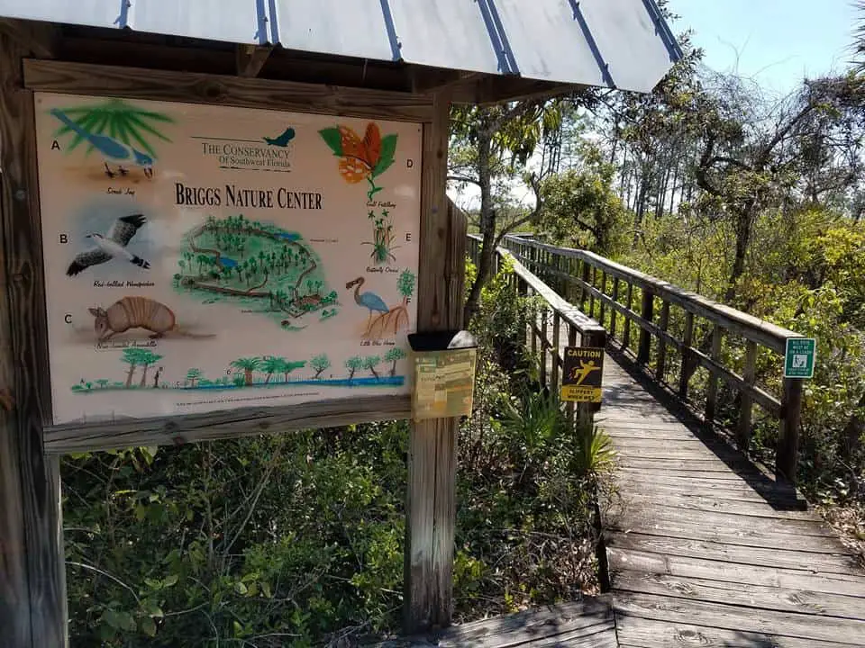 15 mejores cosas que hacer en Ámbito Island (FL)