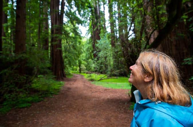 Las 15 mejores excursiones por Muir Woods
