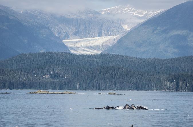 15 mejores recorridos por Alaska