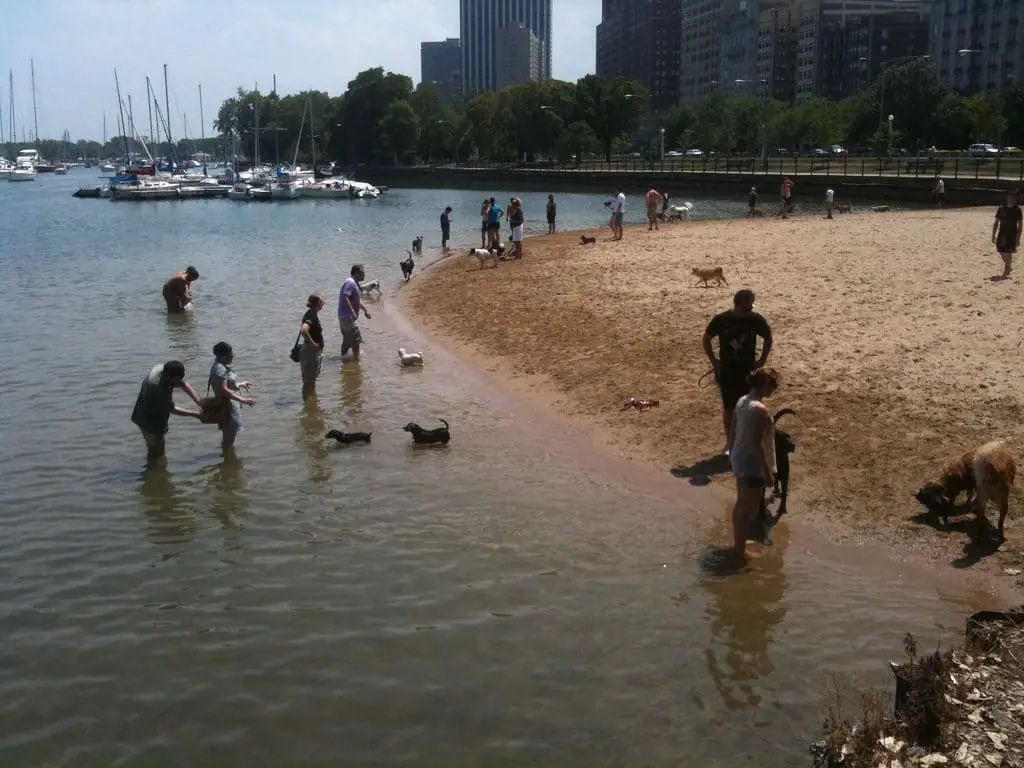 10 mejores playas en Chicago