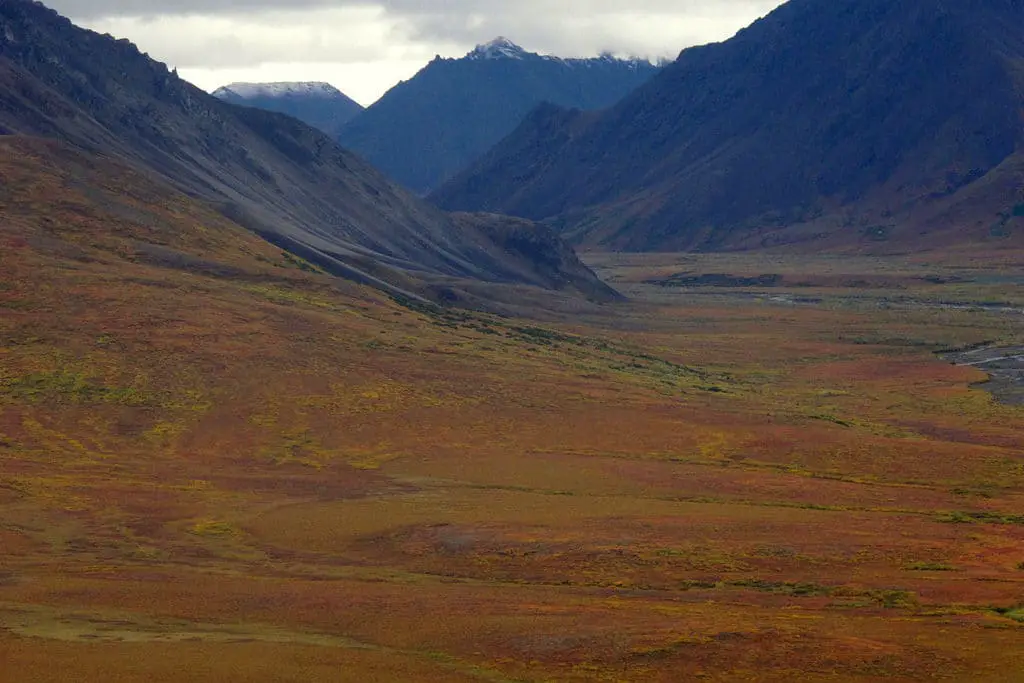 15 mejores cosas que hacer en Kotzebue (Alaska)