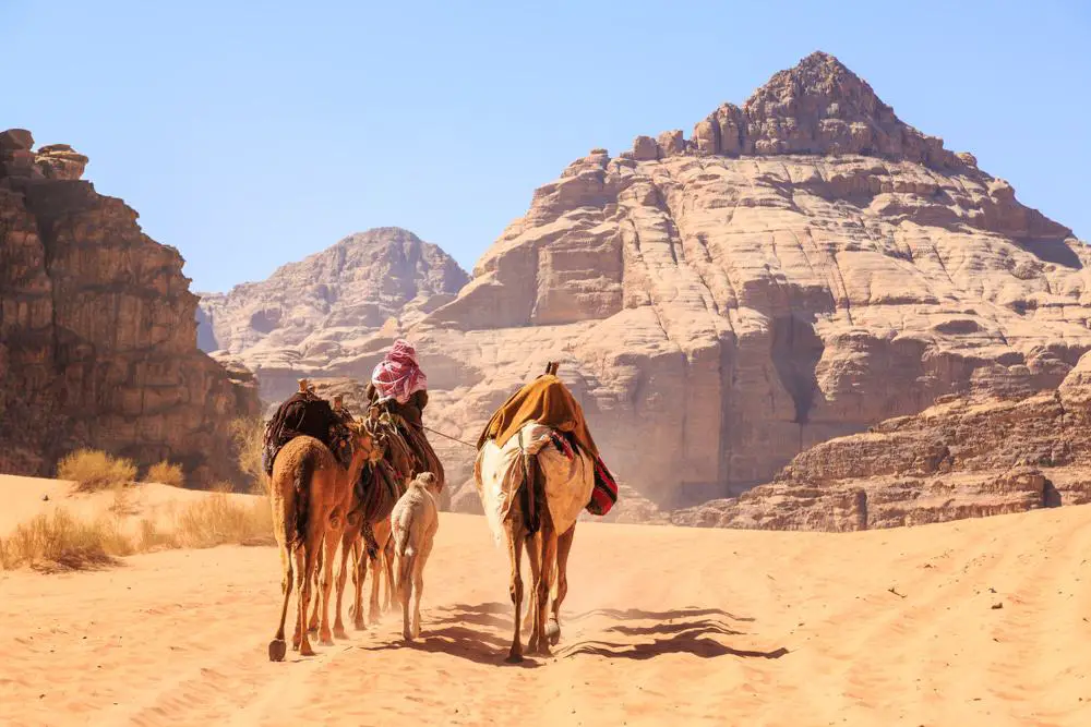 15 mejores recorridos por Petra