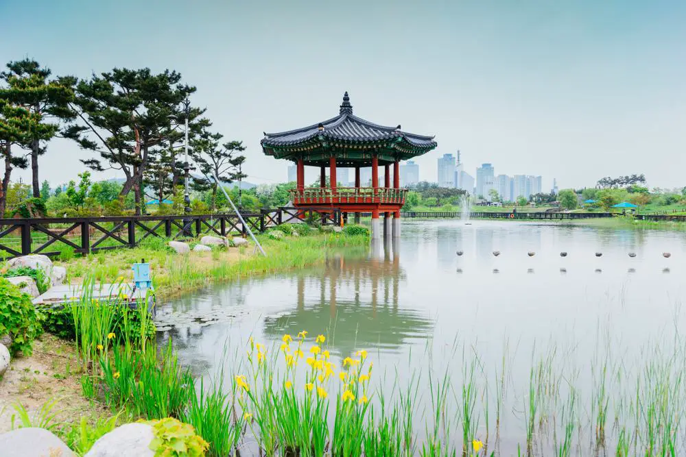 15 mejores cosas que hacer en Daejeon (Corea del Sur)