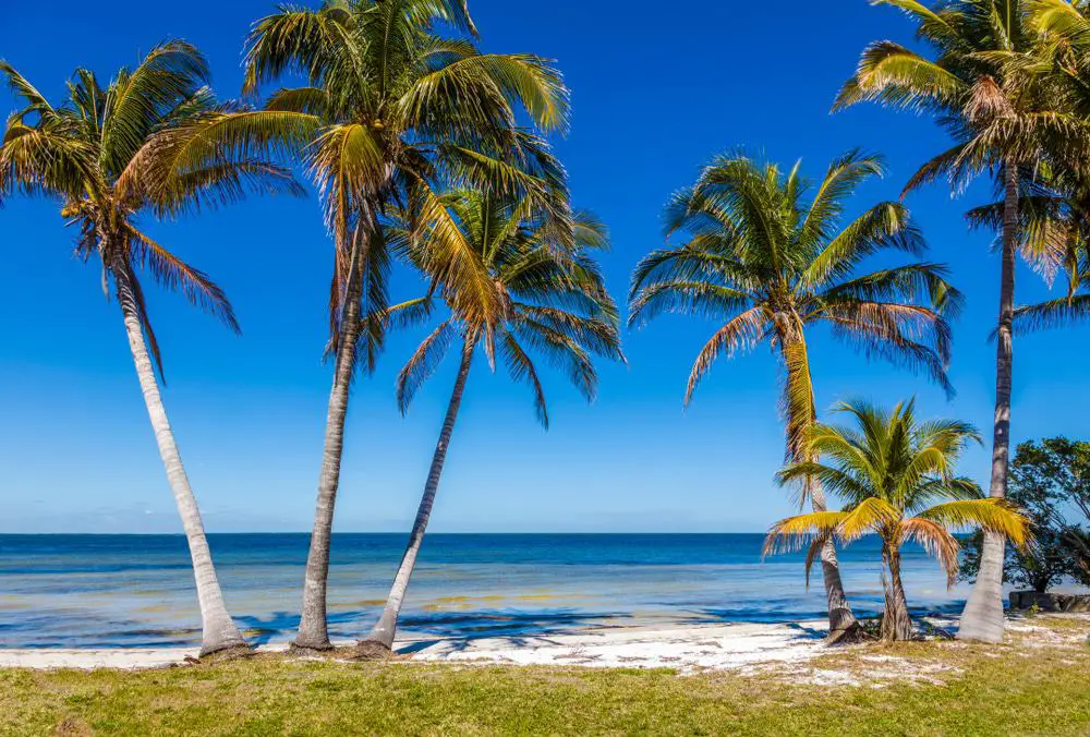 15 mejores excursiones de un día desde West Palm Beach