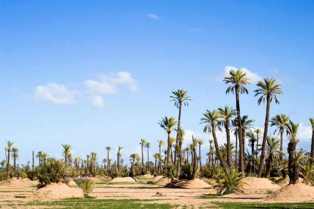 15 mejores excursiones de un día desde Marrakech