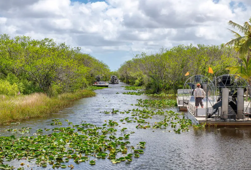 15 mejores recorridos en hidrodeslizador de los Everglades