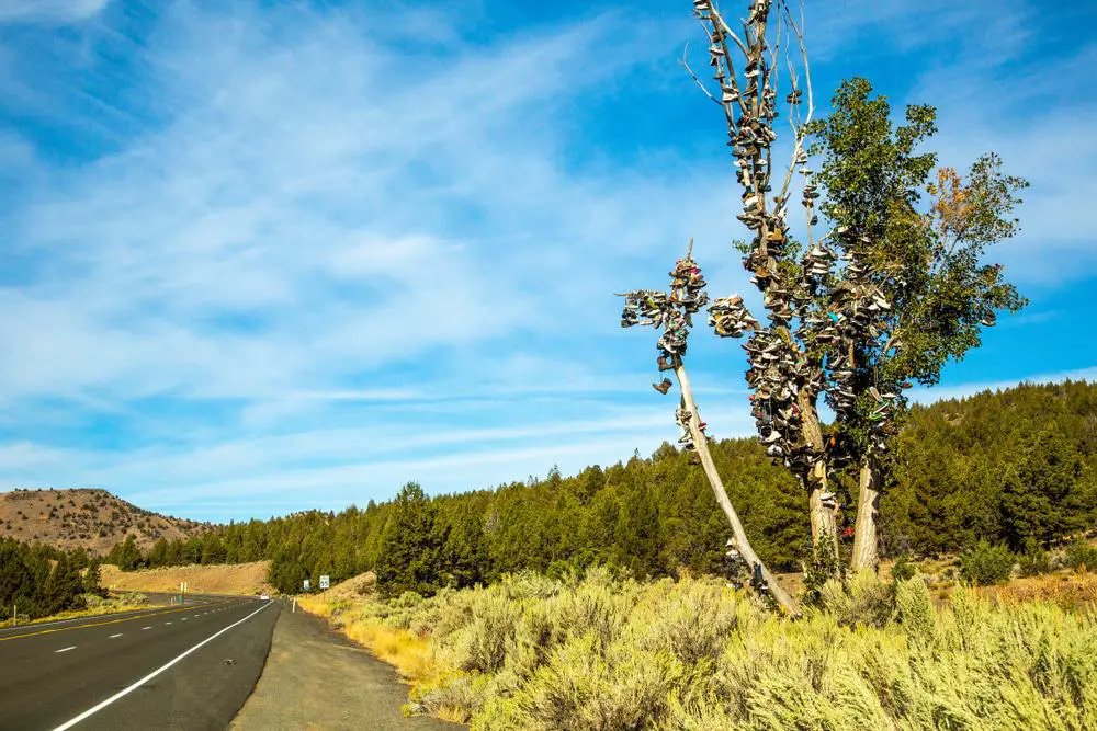 29 increíbles gemas ocultas en Oregon