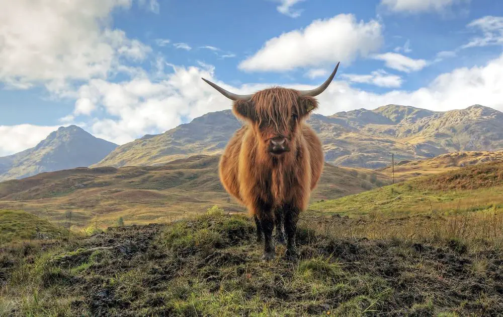 15 mejores recorridos por Escocia