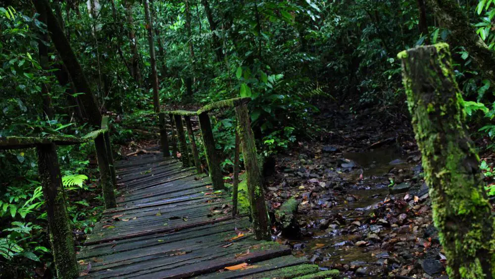 25 mejores parques nacionales en Malasia