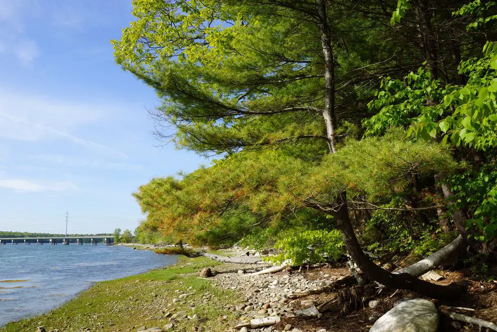 15 mejores cosas que hacer en Yarmouth (Maine)