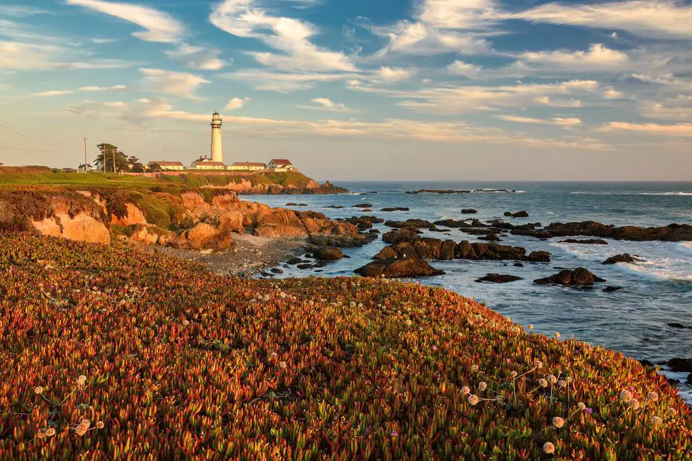15 mejores playas en Santa Cruz