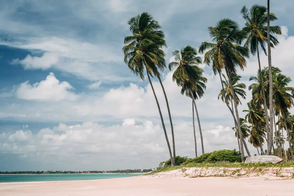 15 mejores playas de Brasil