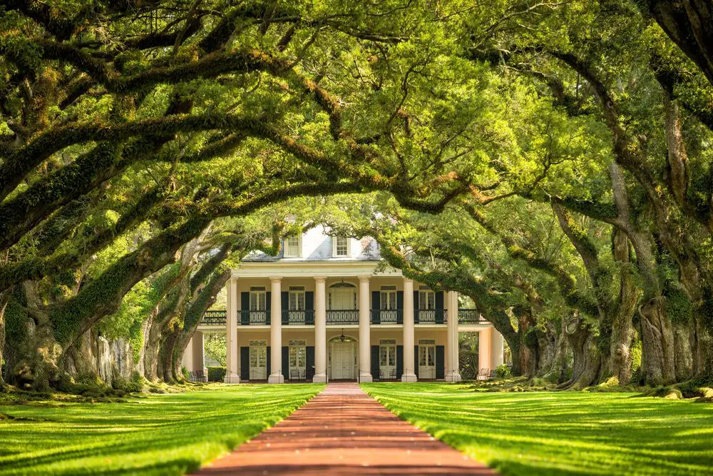 15 mejores recorridos de plantaciones desde Nueva Orleans