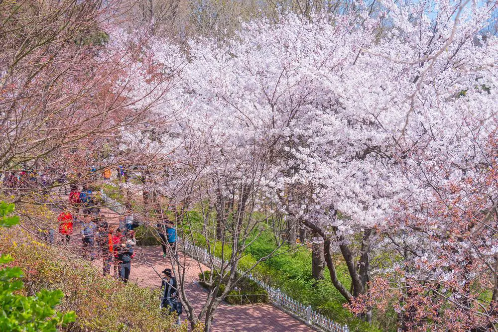 15 mejores cosas que hacer en Incheon (Corea del Sur)