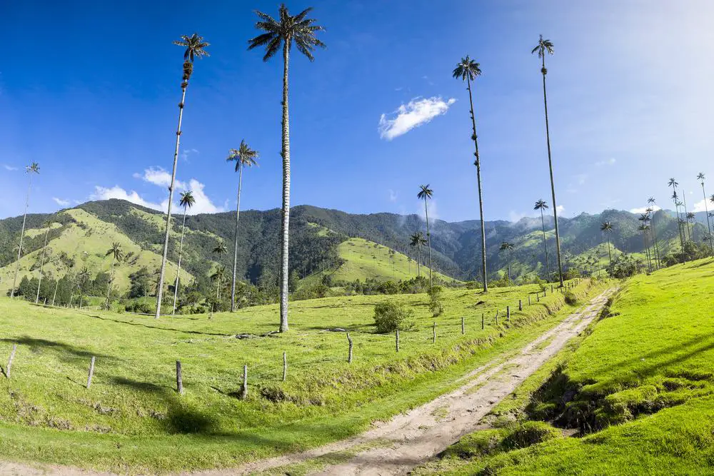 15 mejores cosas que hacer en Salento (Colombia)