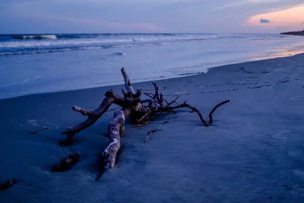 10 mejores playas en Charleston, Carolina del Sur