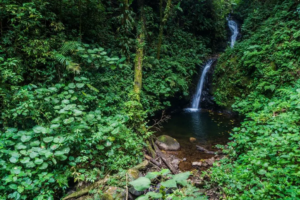 12 cascadas increíbles en Costa Rica