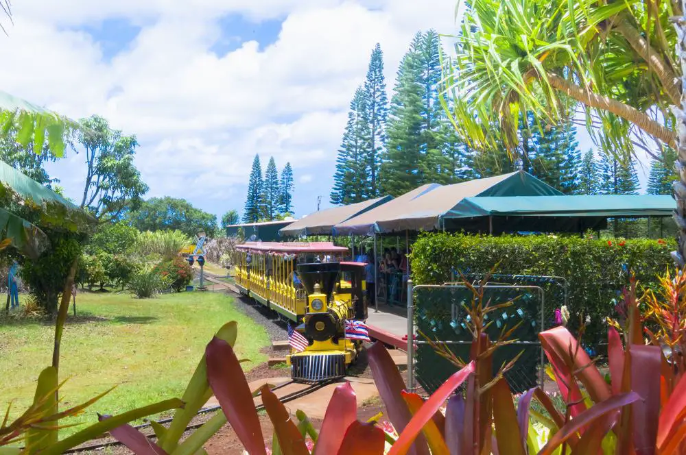 15 mejores excursiones de un día desde Oahu