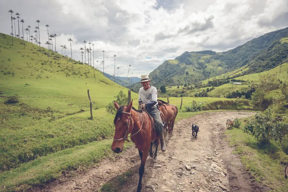 15 mejores cosas que hacer en Pereira (Colombia)
