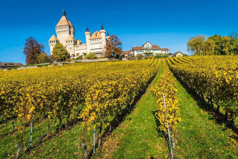 15 mejores castillos en Suiza