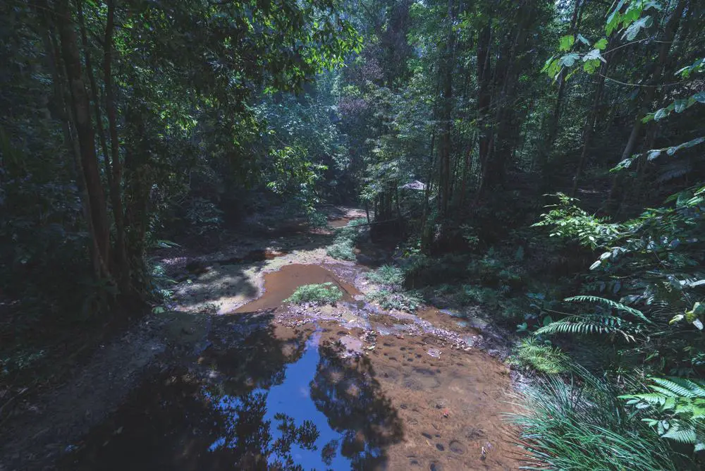 25 mejores parques nacionales en Malasia