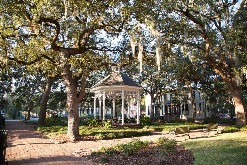 15 mejores recorridos por Savannah