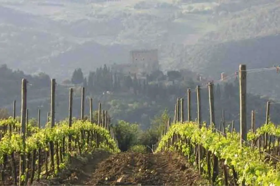15 mejores tours en morapio de la Toscana