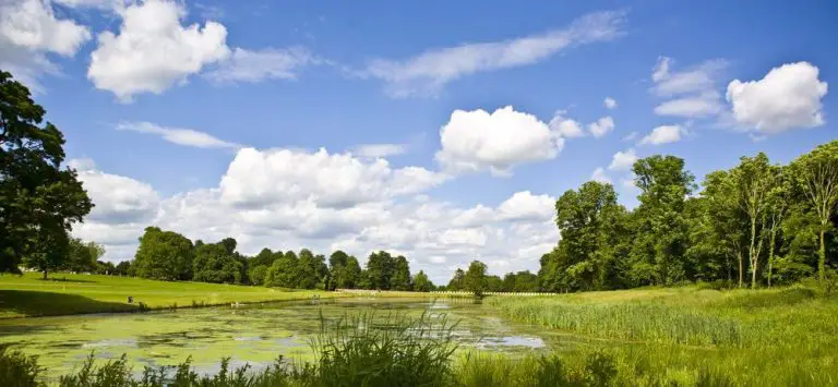 15 mejores cosas que hacer en Swindon (Wiltshire, Inglaterra) | EL BLOG