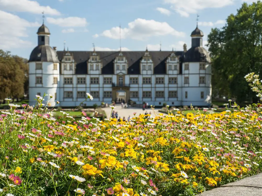 15 mejores cosas que hacer en Paderborn (Alemania)