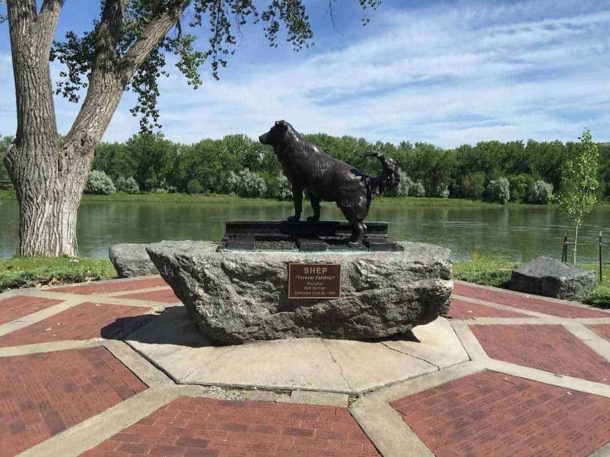 Shep Memorial, Fort Benton