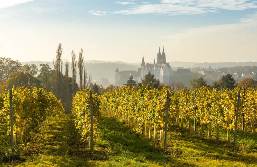 15 mejores cosas que hacer en Meissen (Alemania)