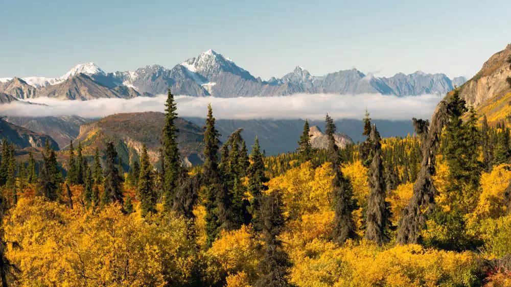 15 mejores excursiones de un día desde Anchorage