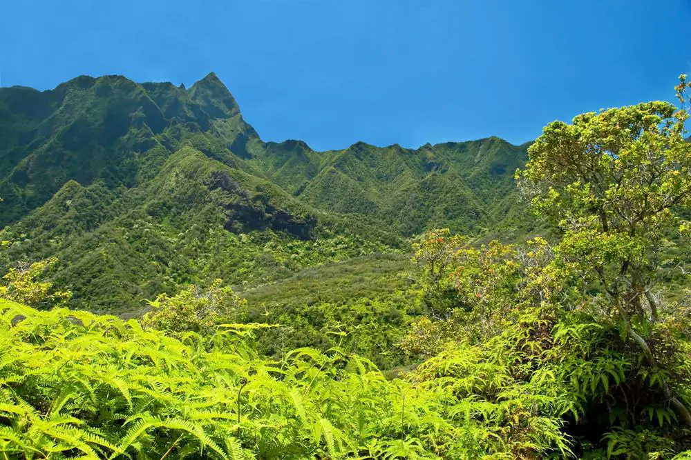 15 mejores excursiones de un día desde Maui