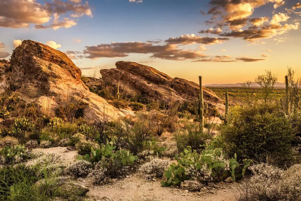 15 mejores excursiones de un día desde Tucson