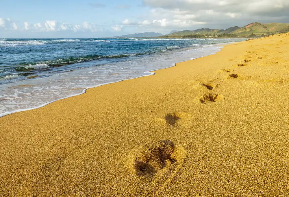 Dónde alojarse en Hawai | EL BLOG DEL VIAJERO