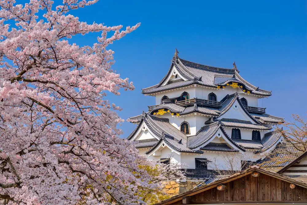 15 mejores excursiones de un día desde Kyoto