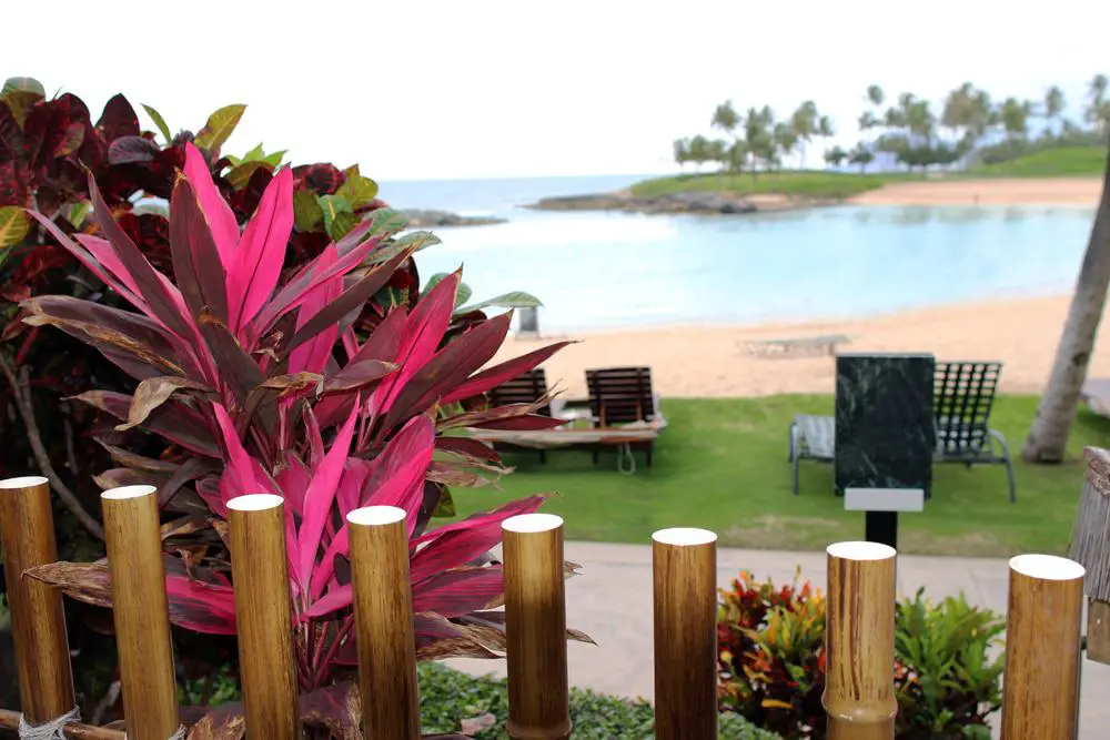 Dónde alojarse en Hawai | EL BLOG DEL VIAJERO
