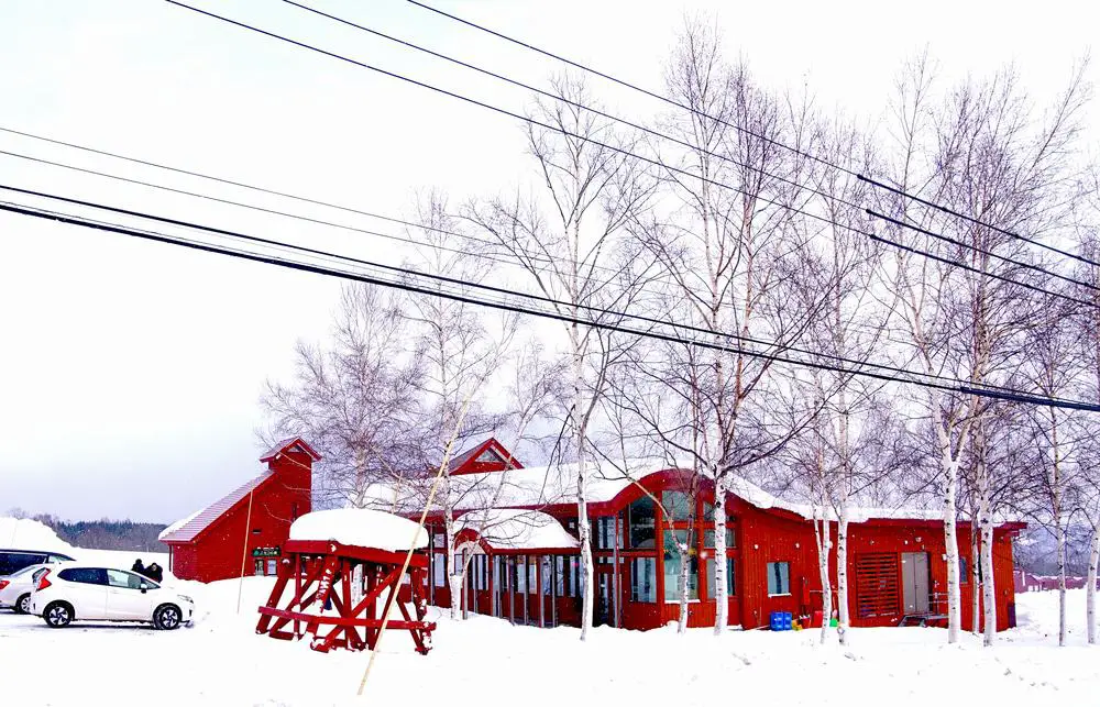 15 mejores cosas que hacer en Niseko (Japón)