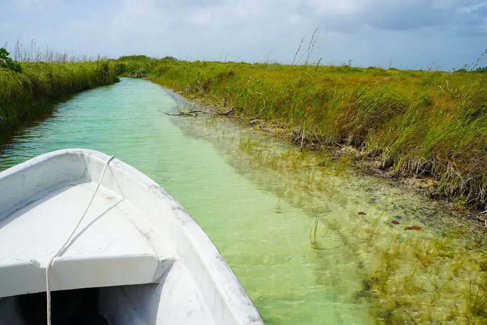 15 mejores excursiones de un día desde Cancún
