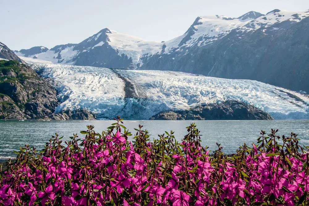 15 mejores excursiones de un día desde Anchorage