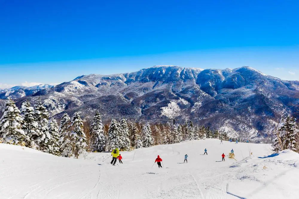 15 mejores cosas que hacer en Nagano (Japón)