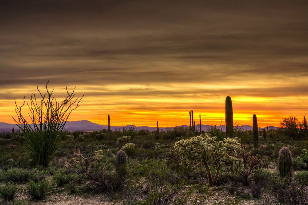 15 mejores excursiones de un día desde Phoenix