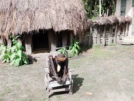 15 mejores lugares para pasar revista en Papua (Indonesia)
