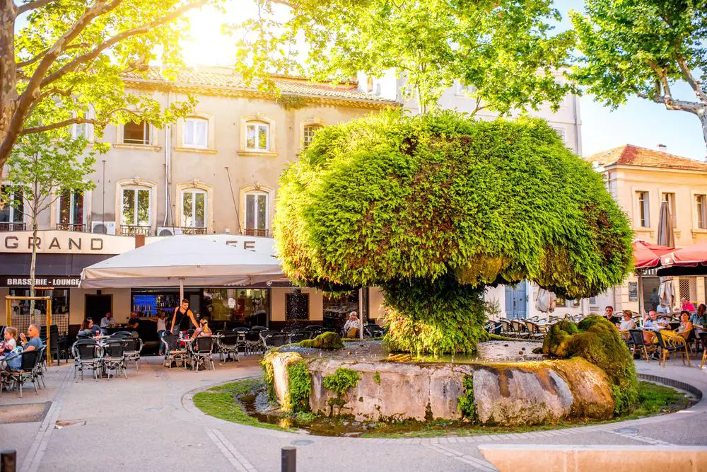15 mejores cosas que hacer en Salon-de-Provence (Francia)