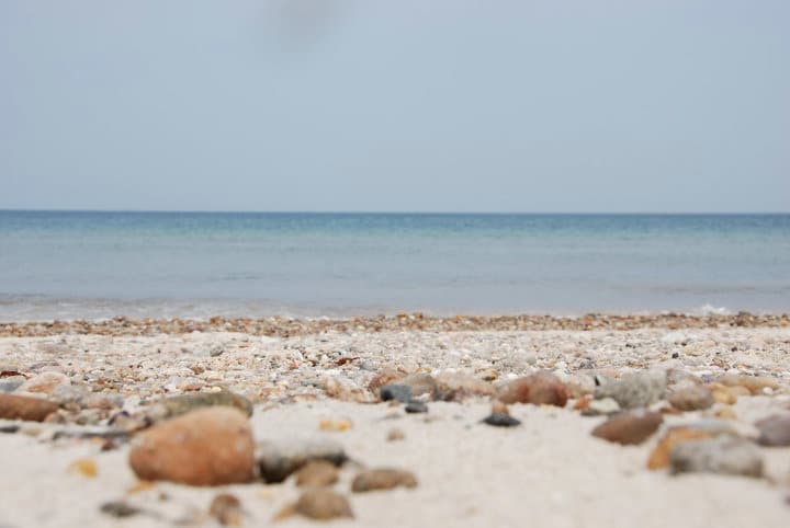 15 mejores playas en Cape Cod