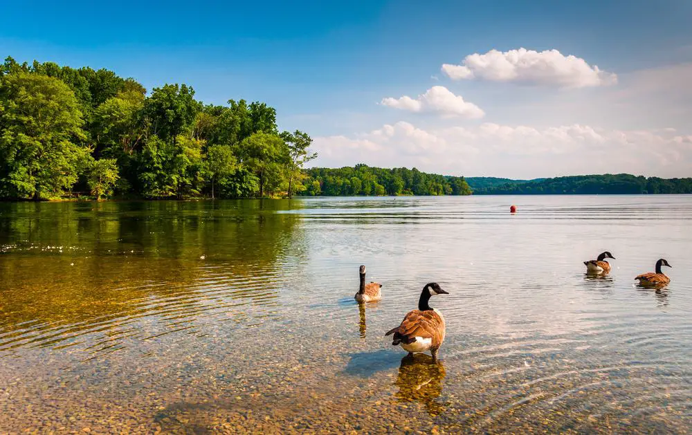 15 mejores lagos en Maryland
